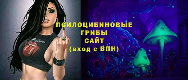mdpv Надым